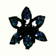 Star Grass Hair Claw Jaw Clip Rhinestone Crystal, Hair Claw - MOGHANT