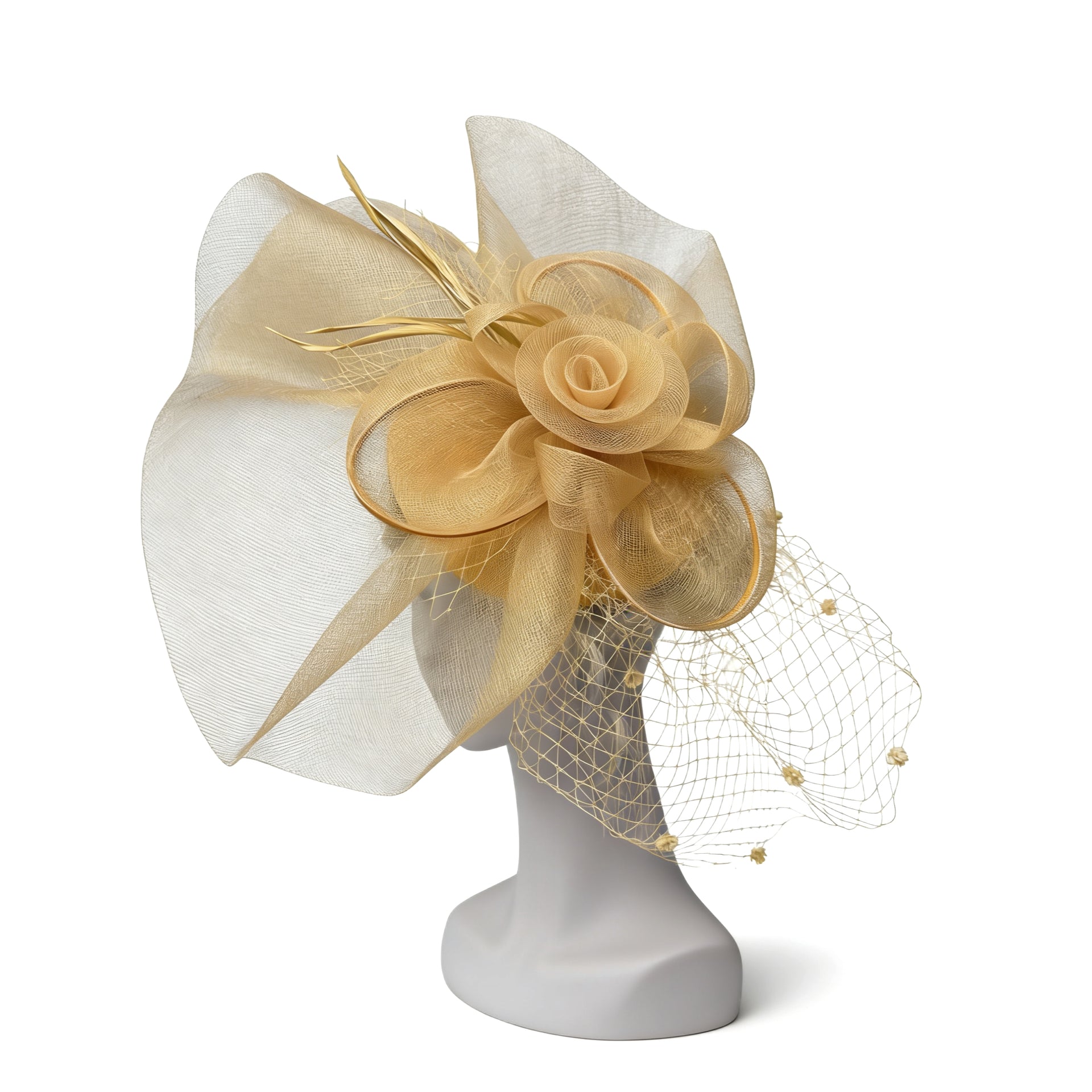 Éclipse Rosette Sculpt Fascinator F3020 - MOGHANT